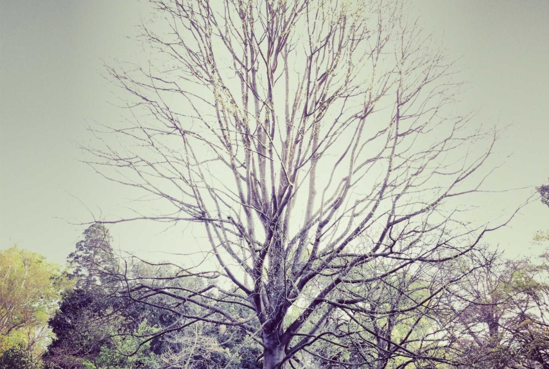 玄武娱乐,注册|跨渠道营销:如何创建一个流畅的销售体验