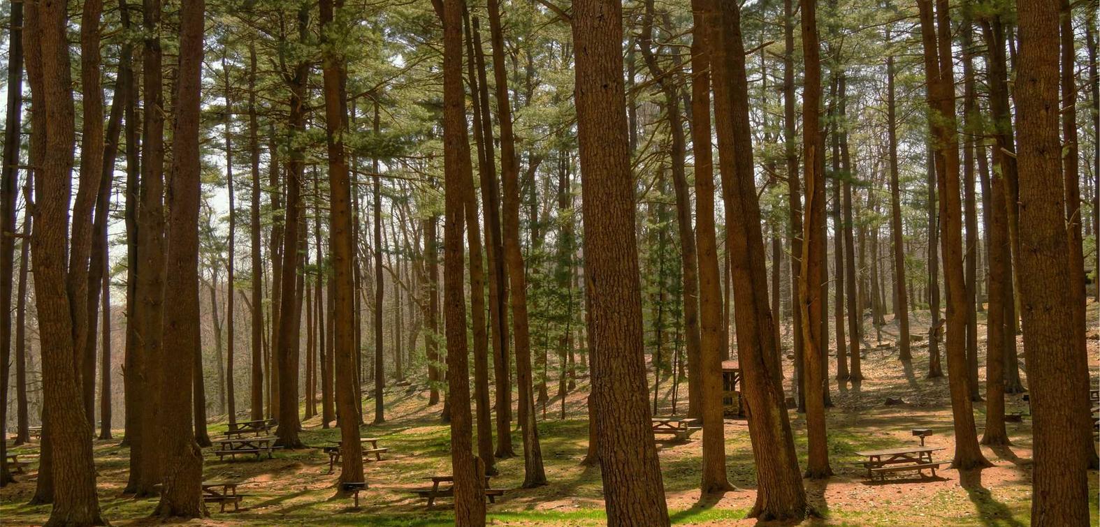 上古世界(ArcheWorld)：广发证券软件详情下载教程app