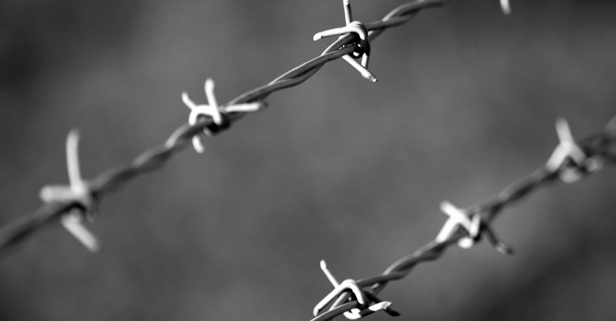 贴吧实名账号：销售代理人平台