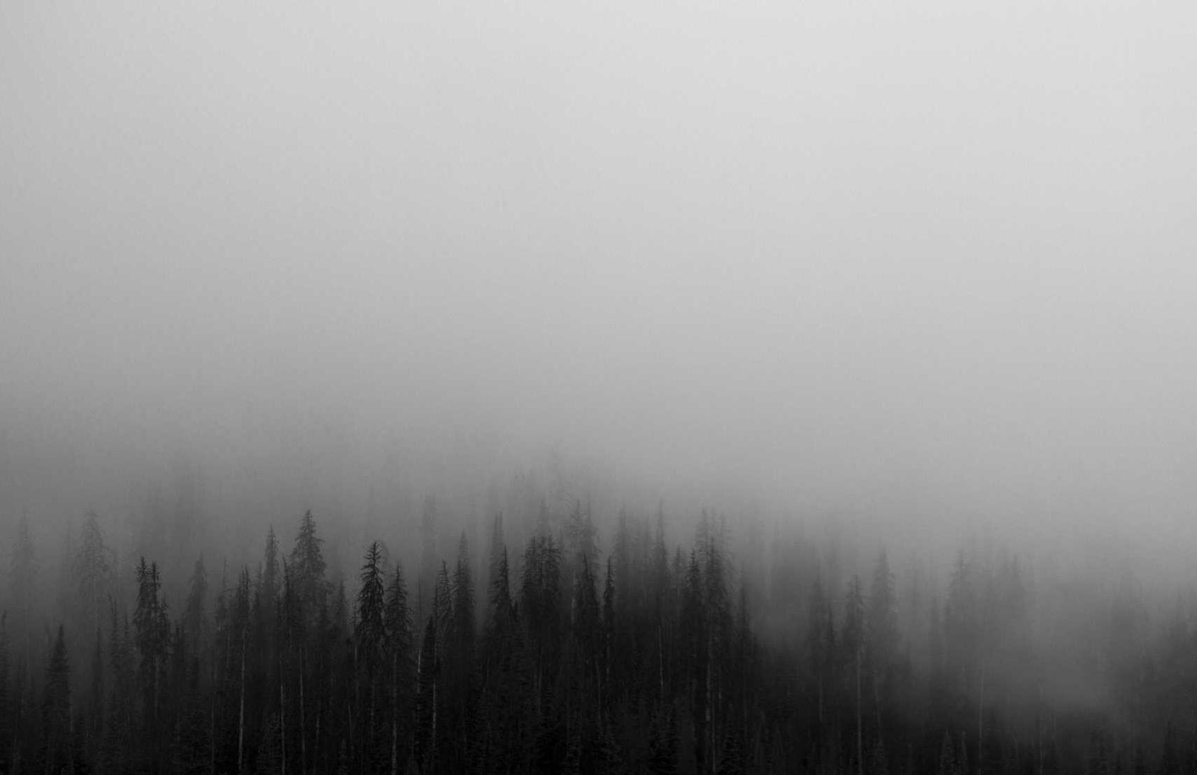 铁塔猫冰激凌爆珠(粗):微外汇代理平台