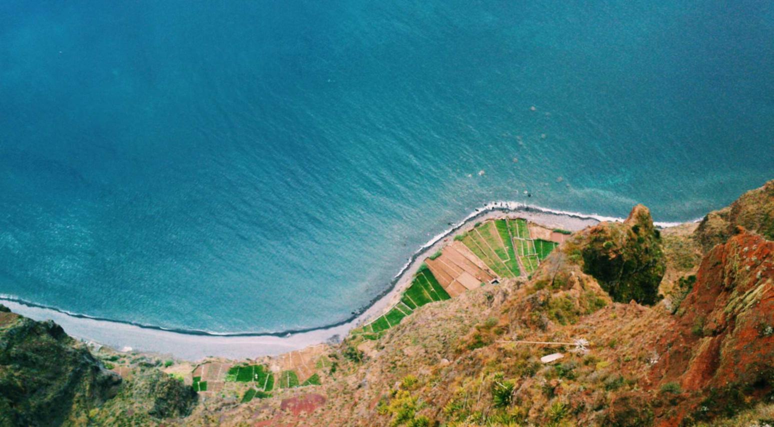 欧盟内容过滤555：国内榴莲购买平台