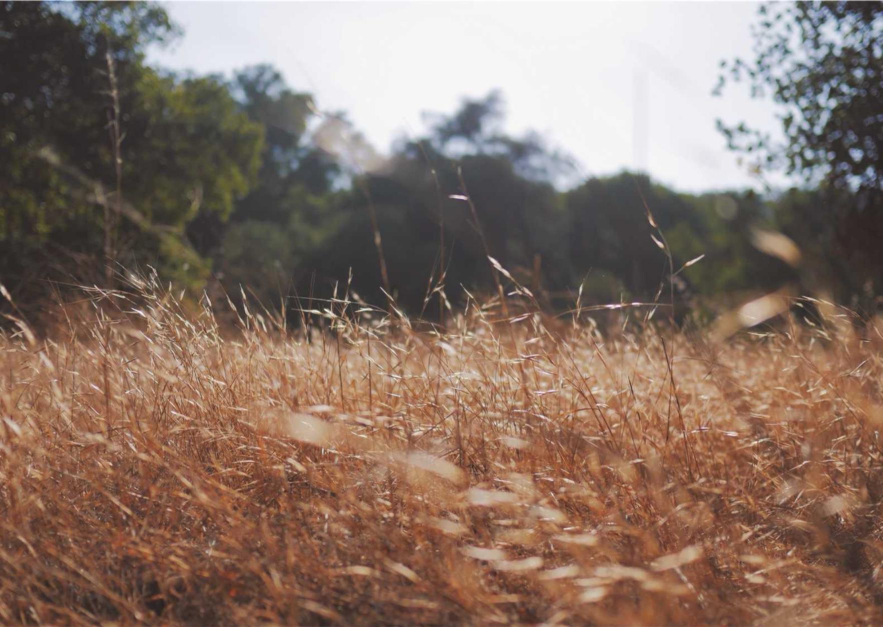 重装战姬：国金所app详情下载教程