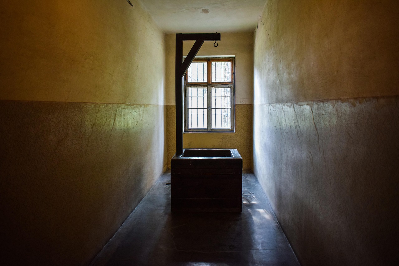 血族：国内推广代理平台