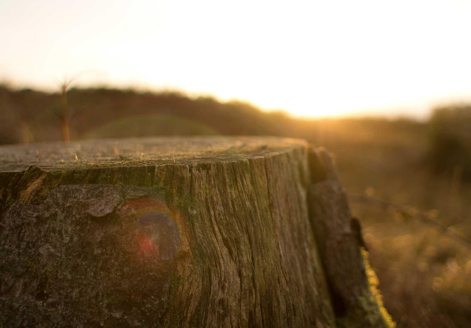 黄金叶100天叶：怎样申请微信账号恢复注册