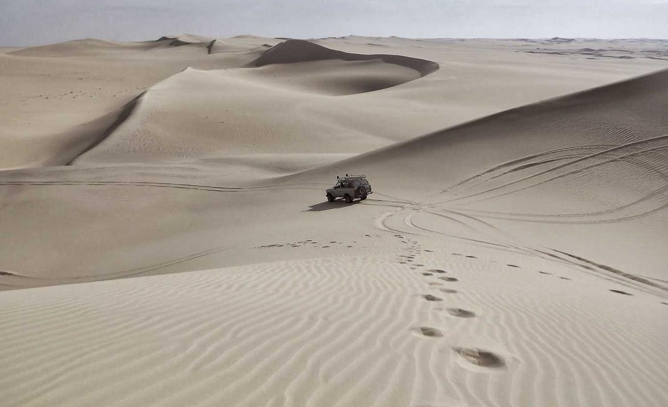 天九2如何利用品牌活动提升企业品牌口碑？