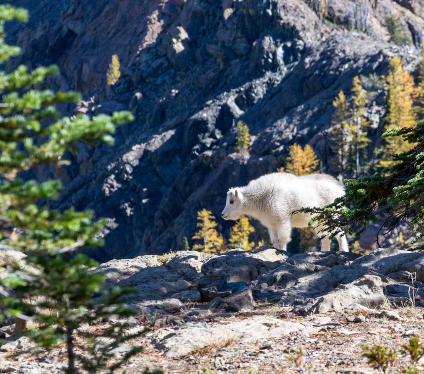 欧陆实现成功的营销计划需要什么