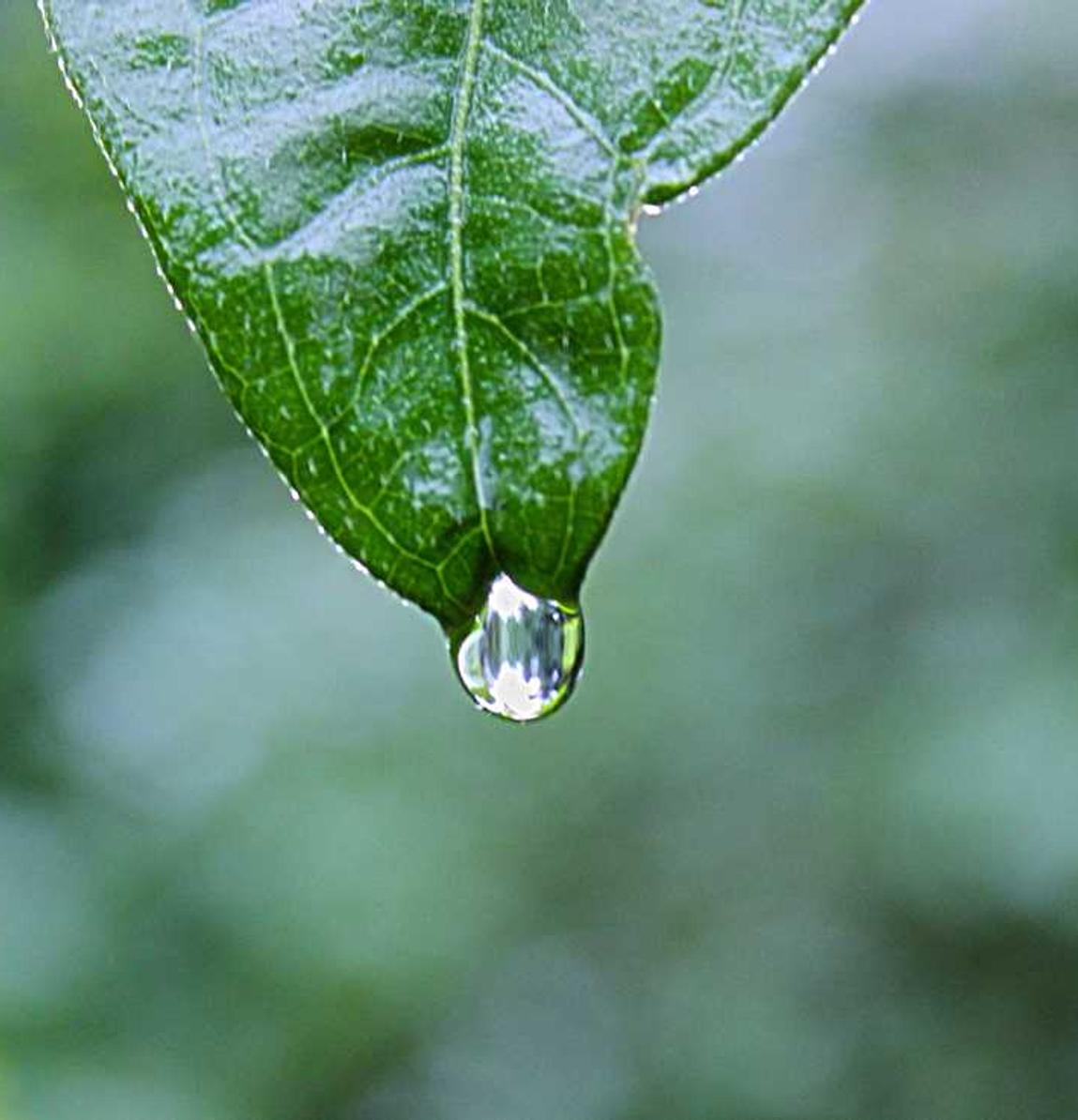 长亭科技实名账号：王牌竞速账号怎么注册不了