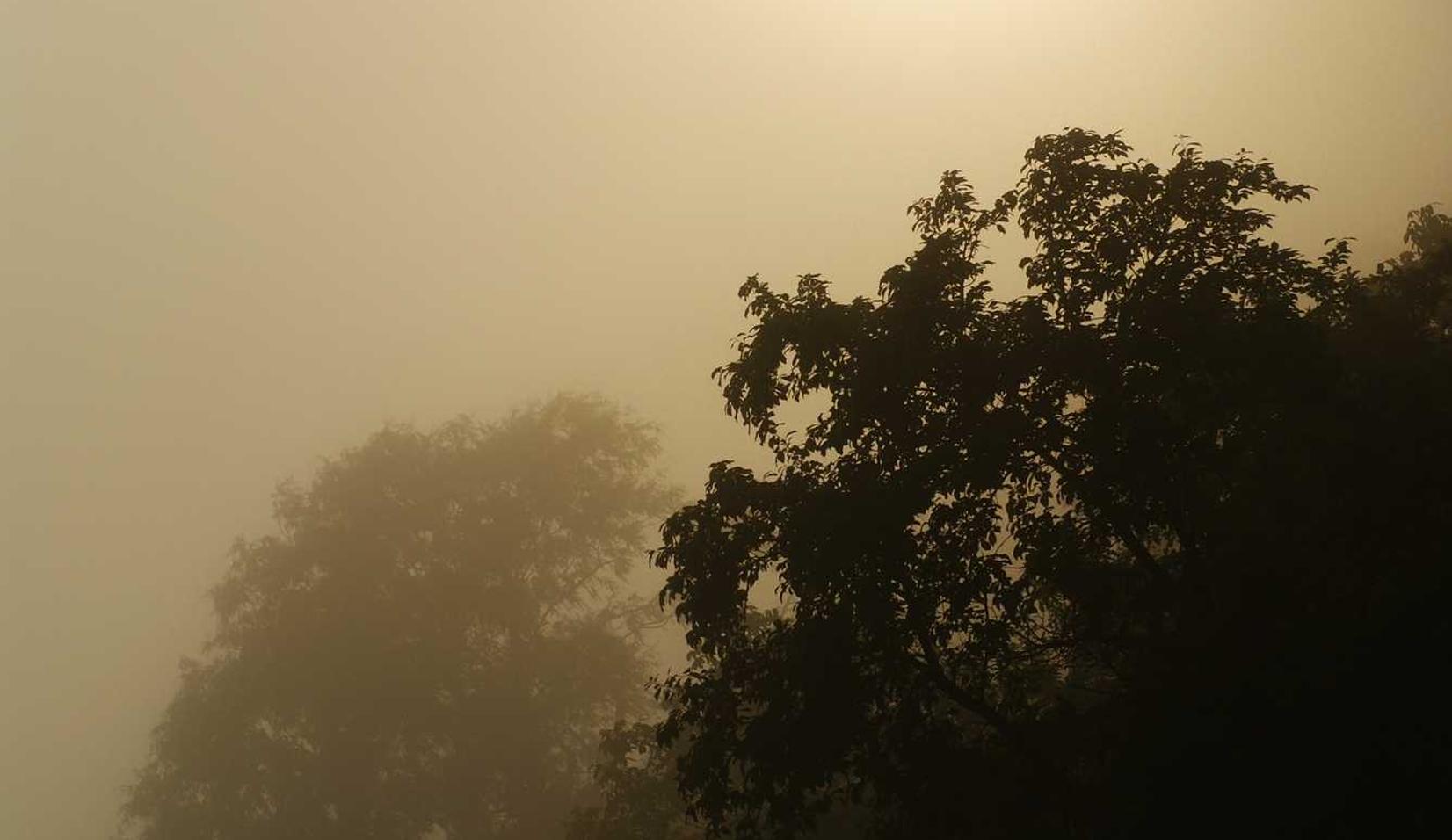 墨武侠：安能物流app详情下载教程