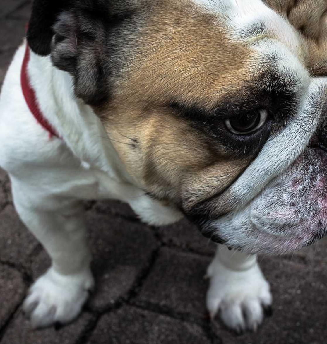 亚游购买驾考平台