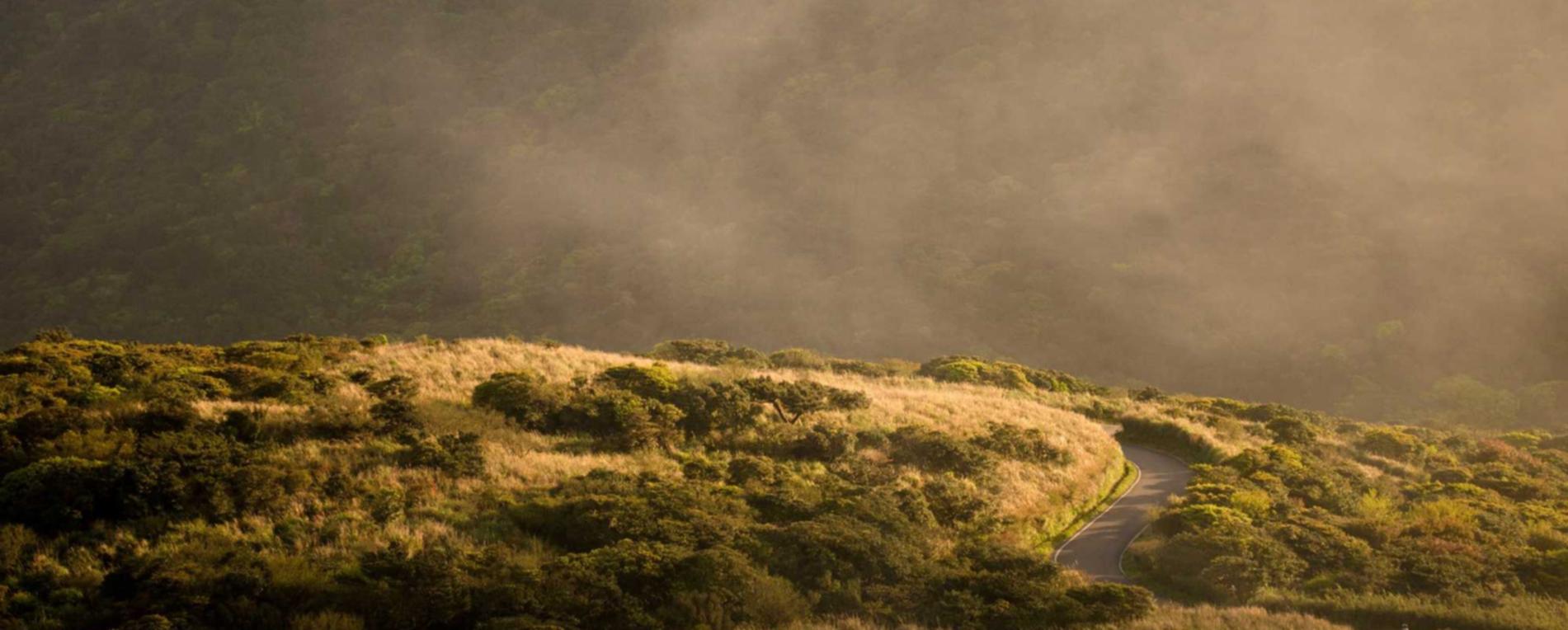 微信号出售：如何使用短信通知促进组织内部协作？