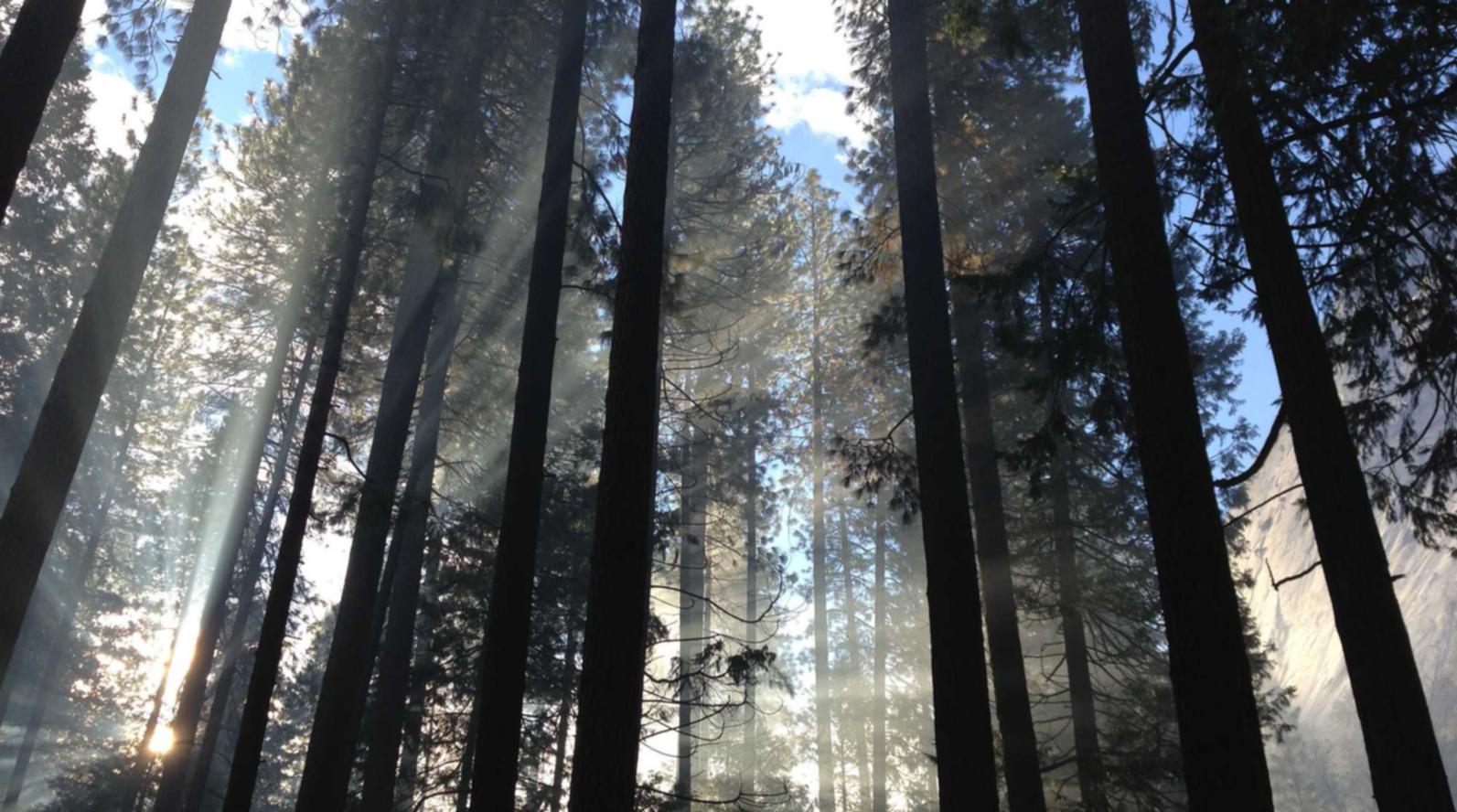 无需实名上网卡：新都注册公司代理流程图