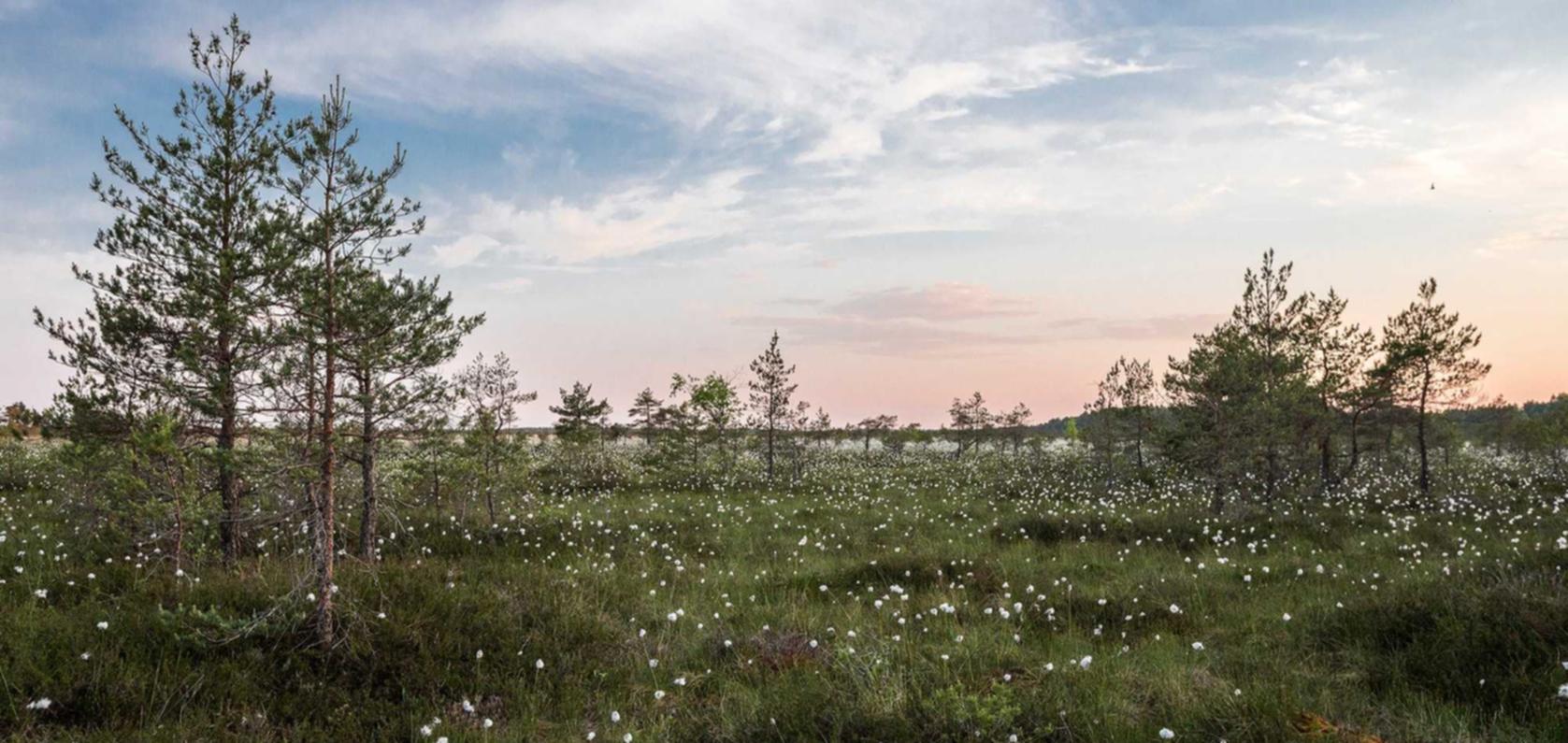 苏宁互联实名账号：满18岁的谷歌账号注册