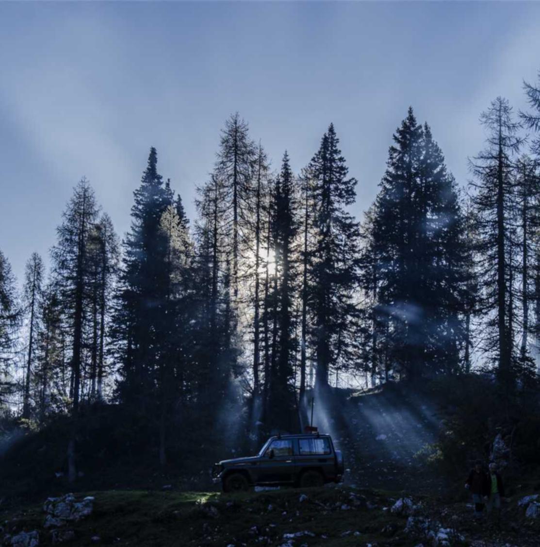 DDOS攻击器|杭州淳安注册代理要求高吗