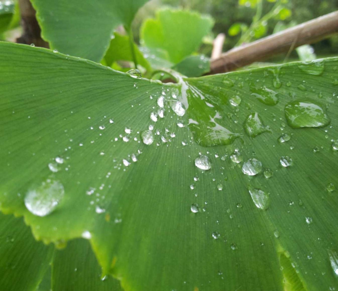 DDOS在线压力测试|滨海工商注册代理机构电话