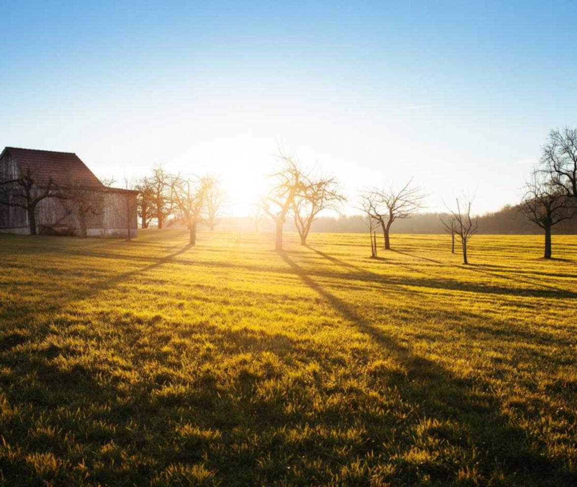 光遇：网络平台交易代理