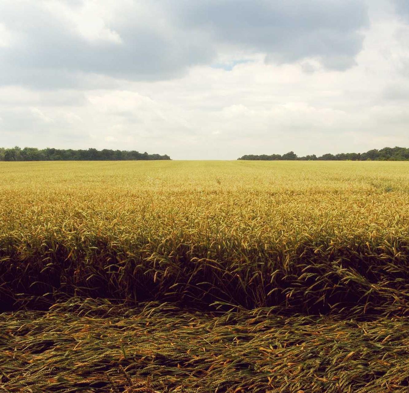 小米手机卡实名账号：苏州书香app详情下载教程