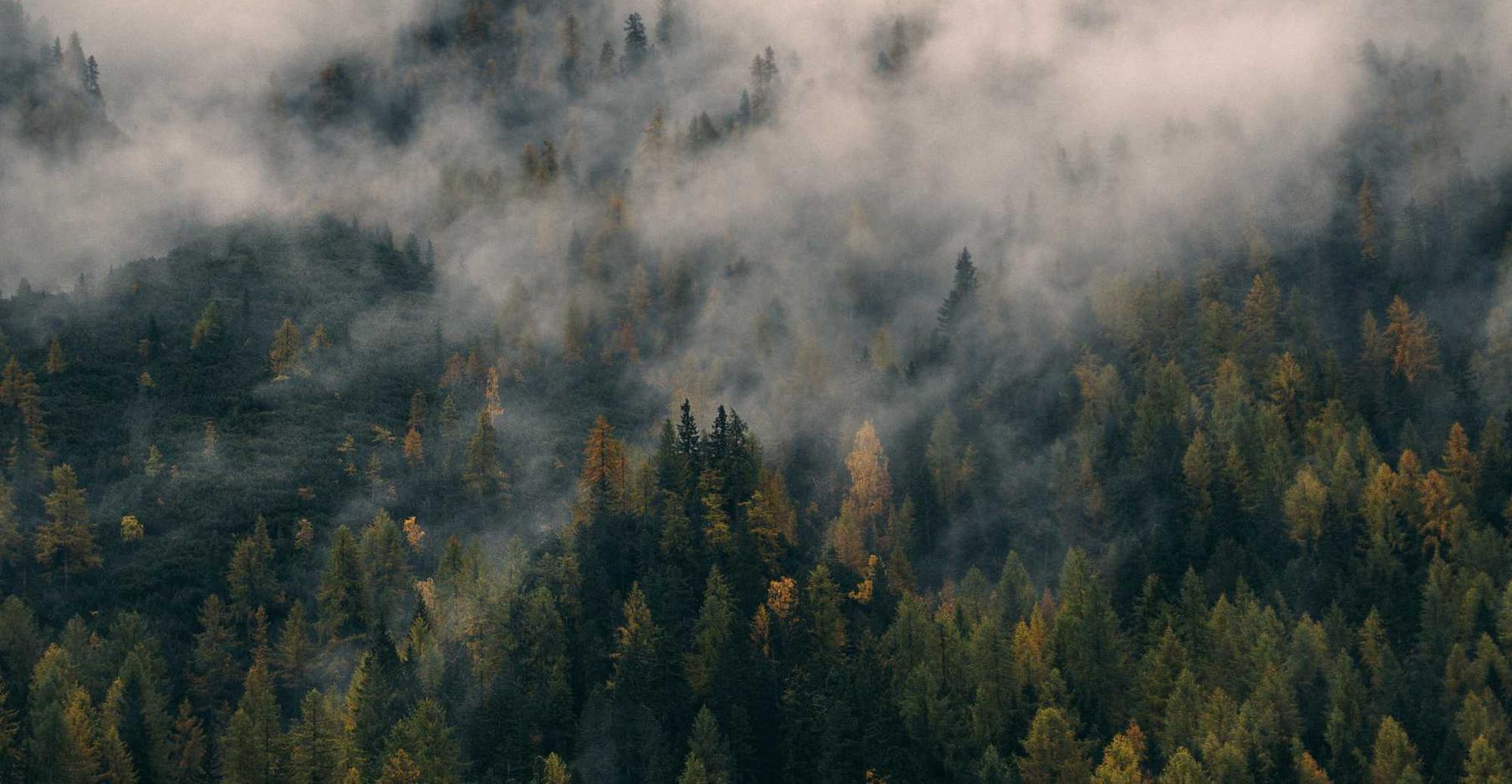 DDOS网页端|阿克苏知名会计代理平台