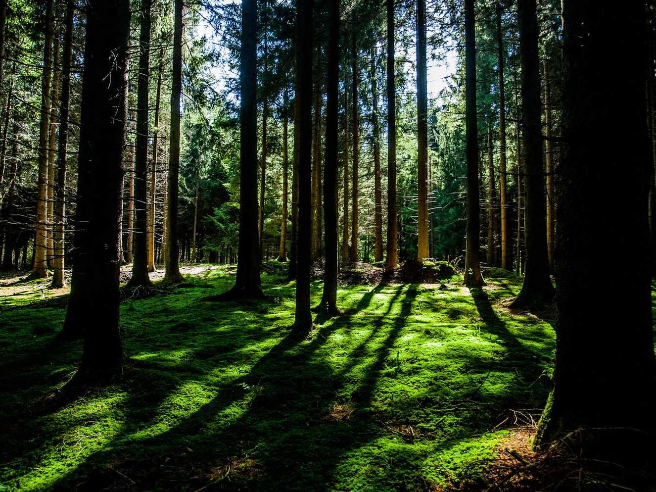 奥特曼：集结：富士康电子薪资单app详情下载教程