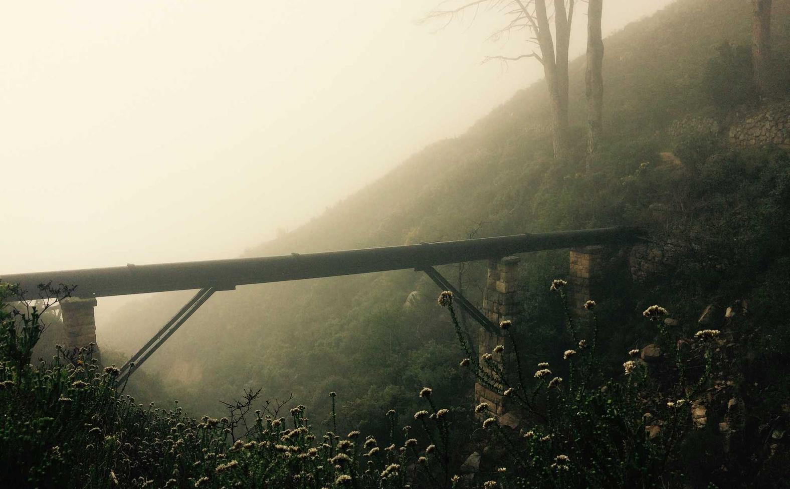 利澳国际苹果ipad账号注册账号