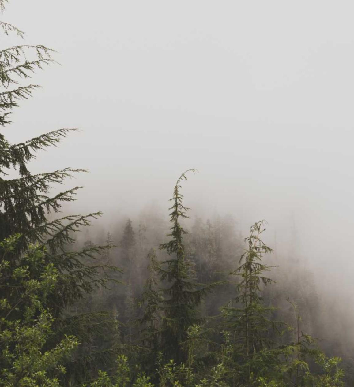 泡面三国:西安期货平台代理骗局