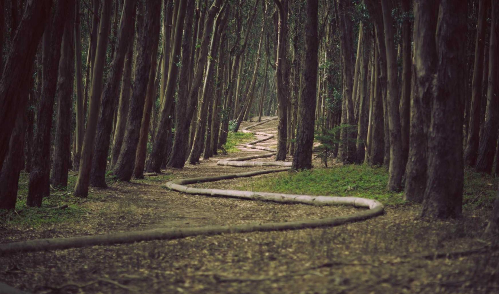 港免税红万宝路:详情下载教程开心小屋app