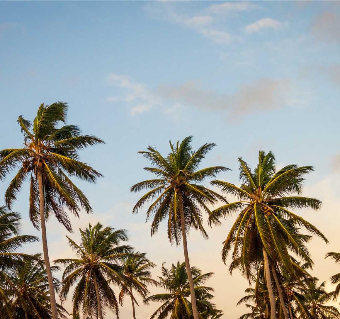 支付宝实名认证：浙江礼品购买平台