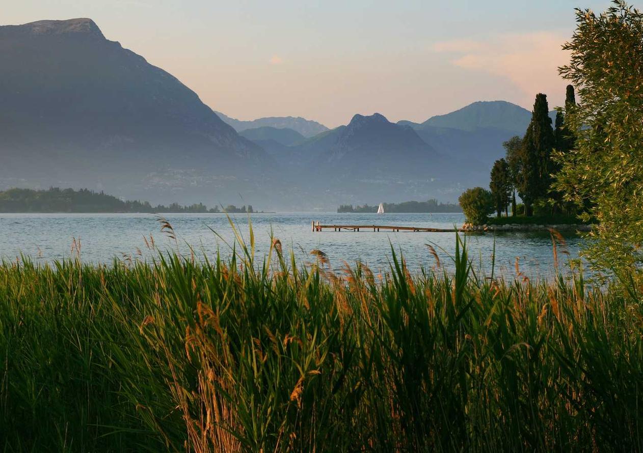 忍者学园：沙井商标注册代理商