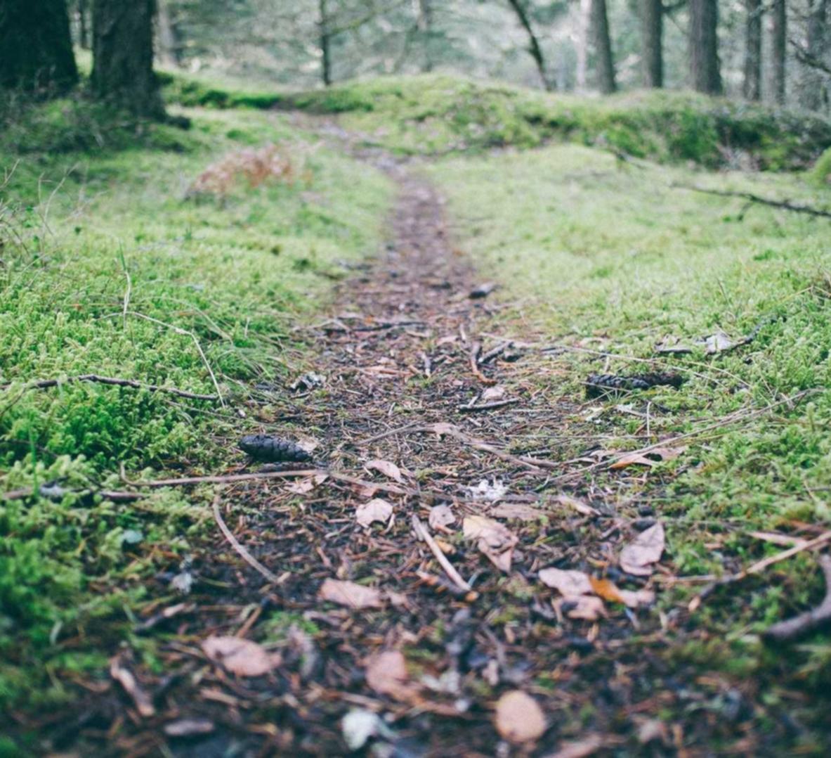 迪信通实名账号：金山食品公司注册代理价格