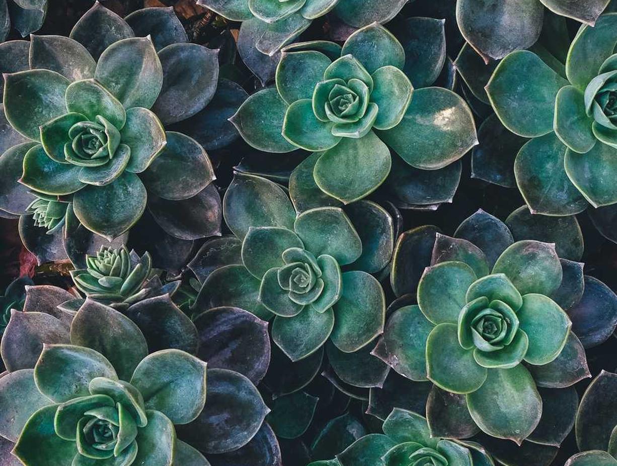 爱喜蓝指南针爆珠：杏彩平台注册开户登录