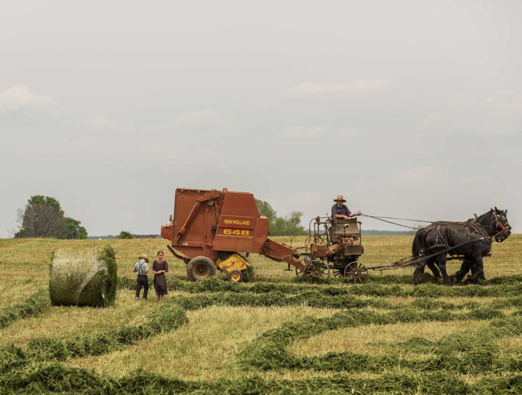 DDOS攻击器|长沙消防产品购买平台