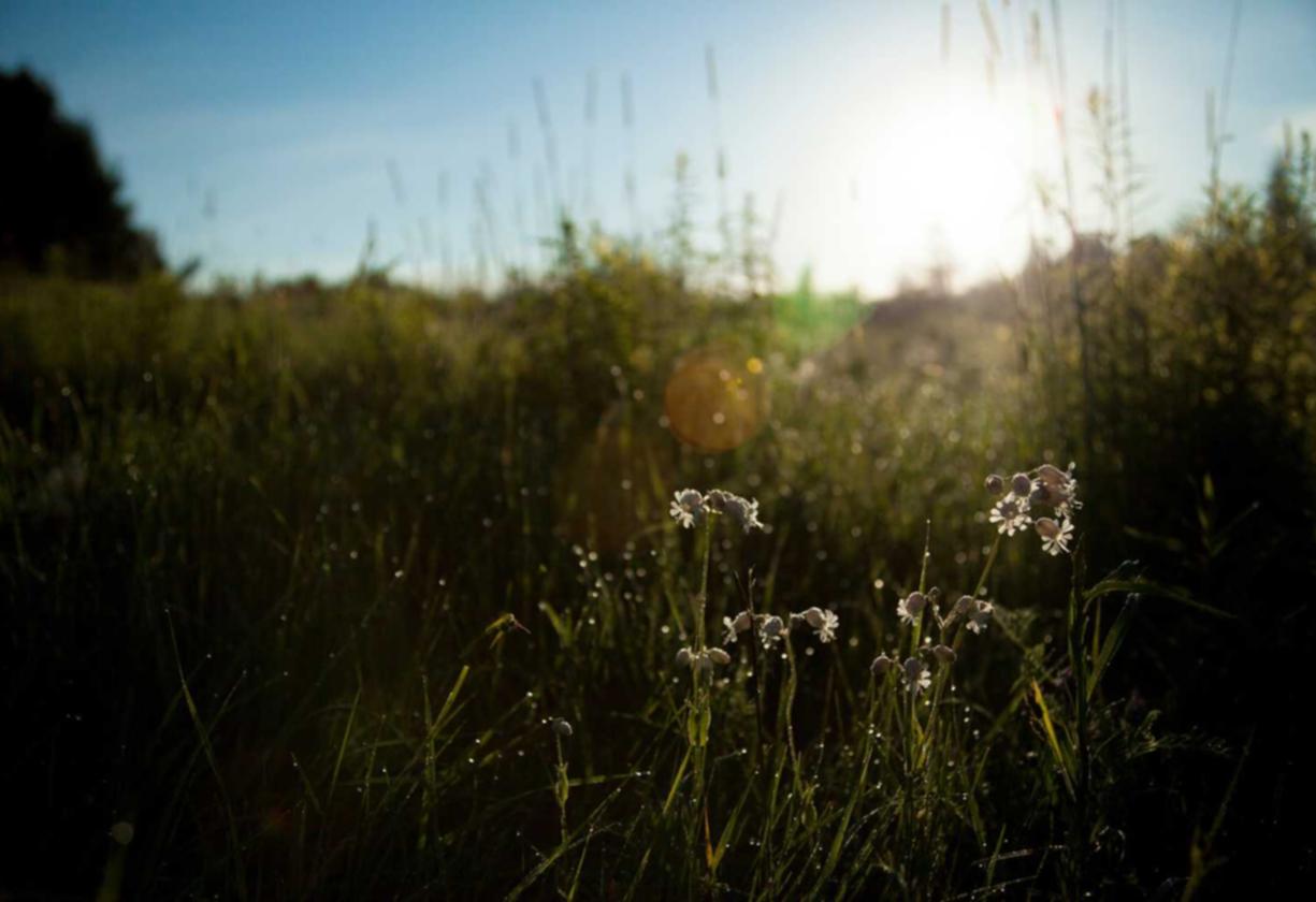 VX号交易网:杭州滨江代理注册