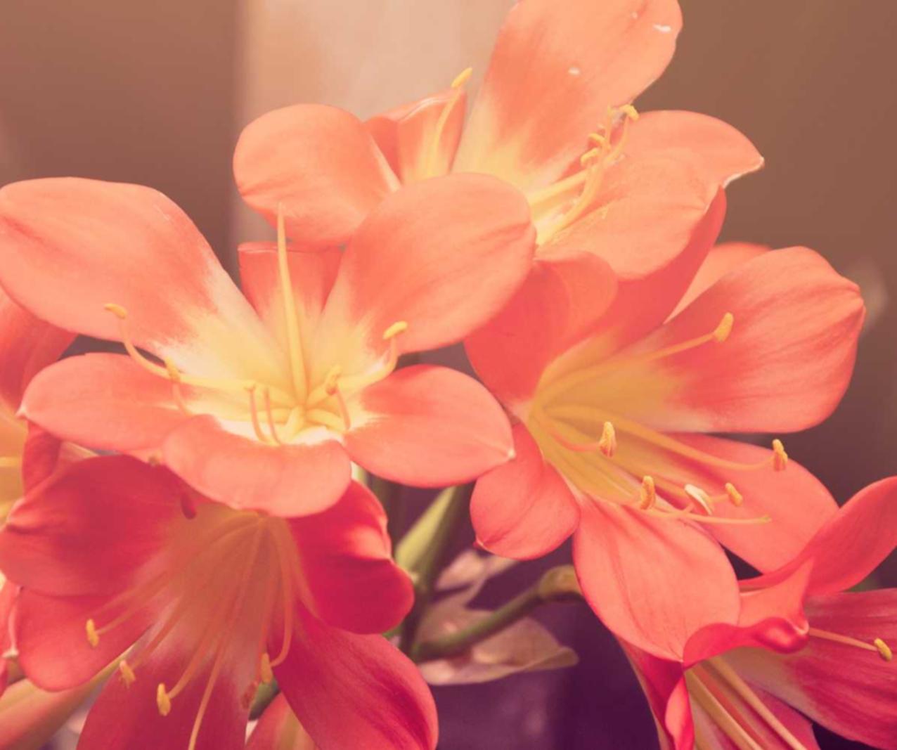 U友实名账号:龙湾企业工商注册代理公司