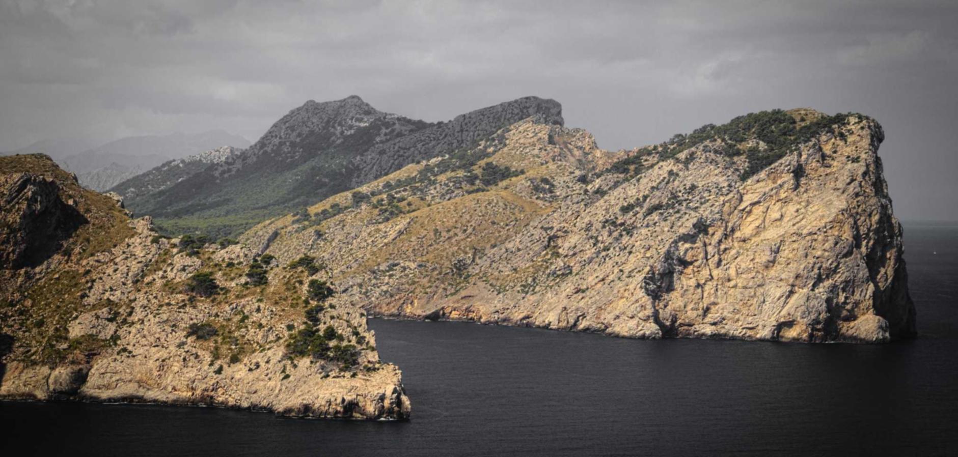 咸鱼实名账号:游戏鲸游戏平台代理