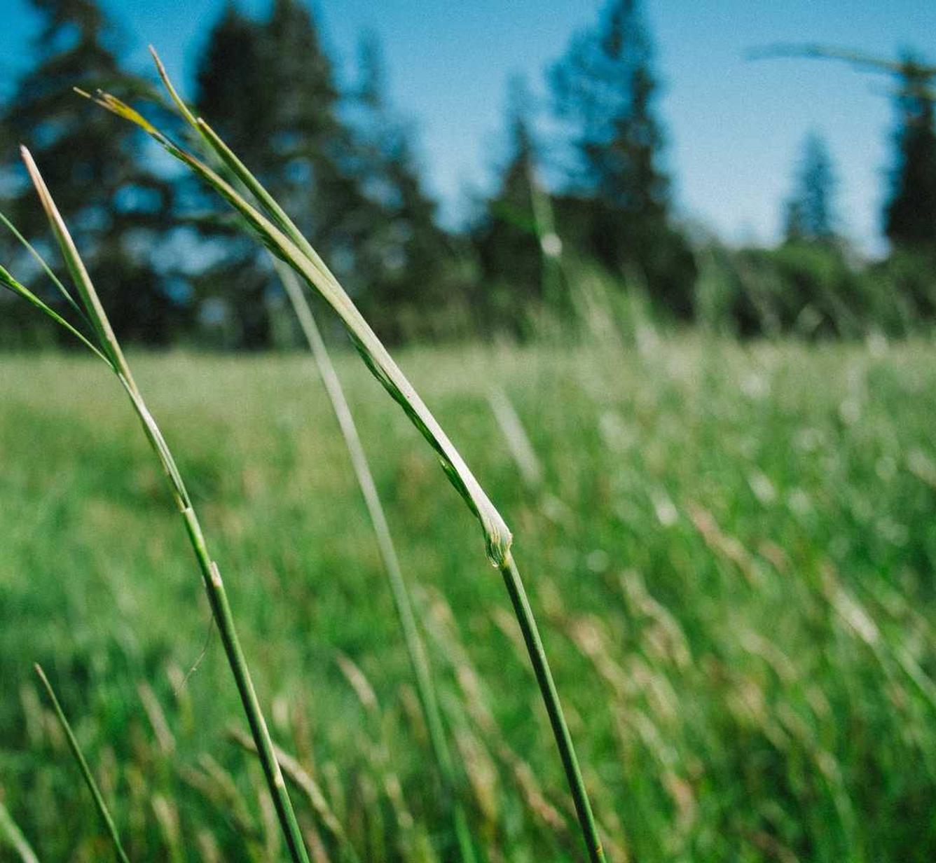 国外ddos攻击页端|黑客攻击和金融服务：如何保护您的资产？