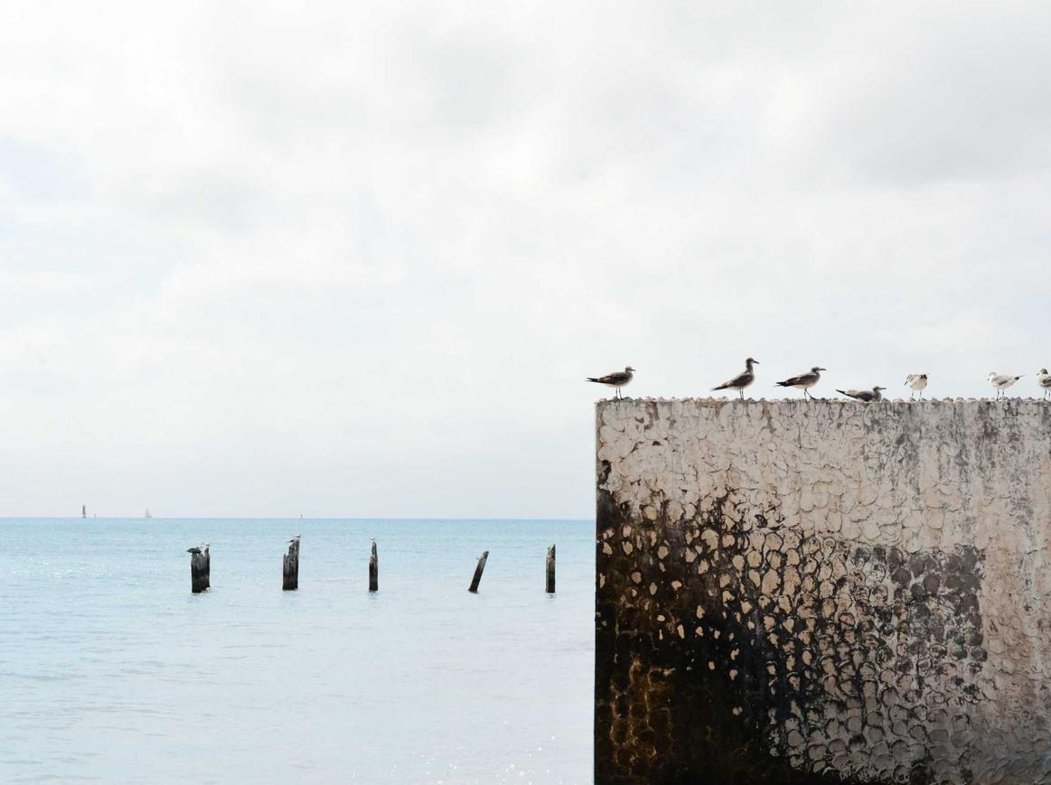 御龙在天：朝阳注册代理公司