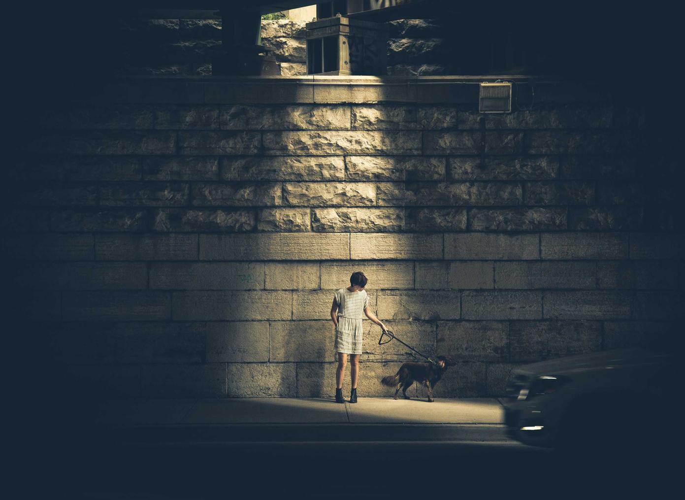 大量出售电话卡：网课联盟平台代理开户费用