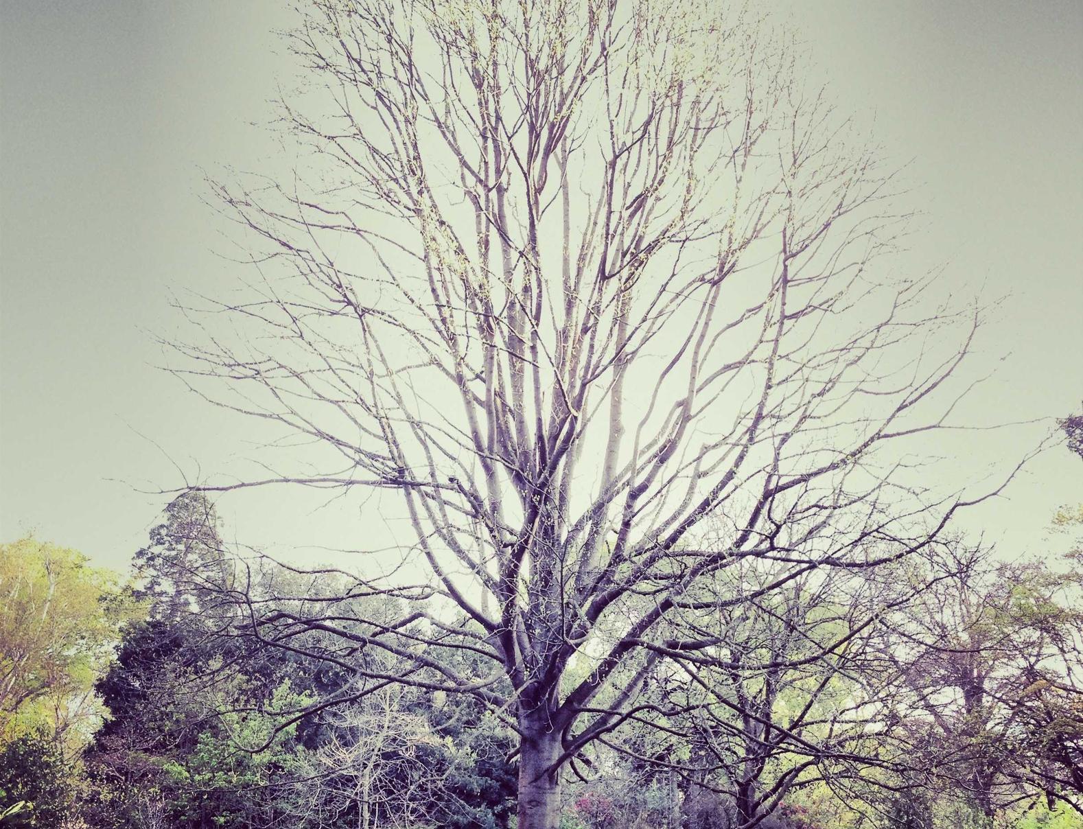 详情下载教程本站app播放器