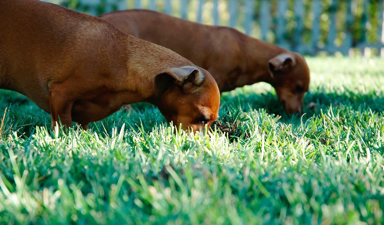 买卖微信号码：短信安全：如何保障用户隐私及信息安全？