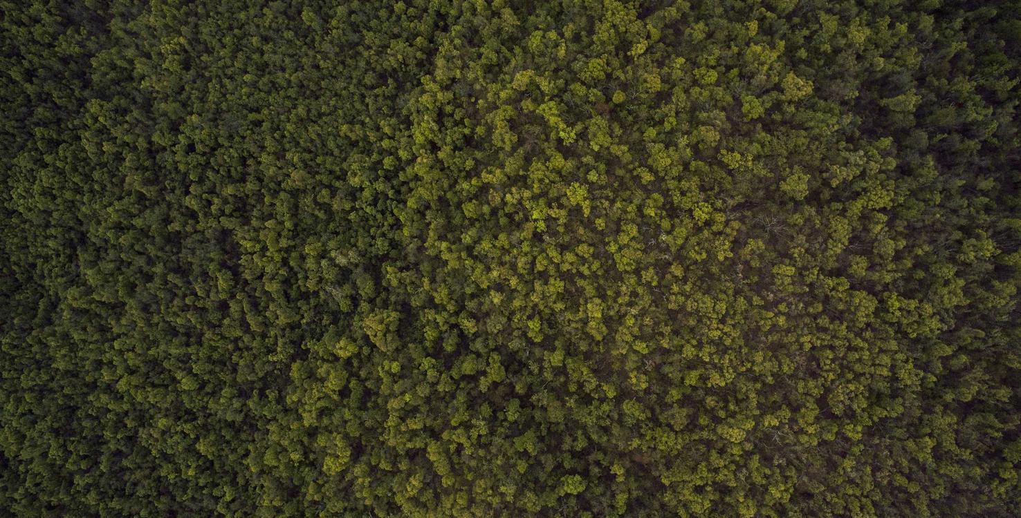 各种国外VX号：实名账号与信息泄露的防范