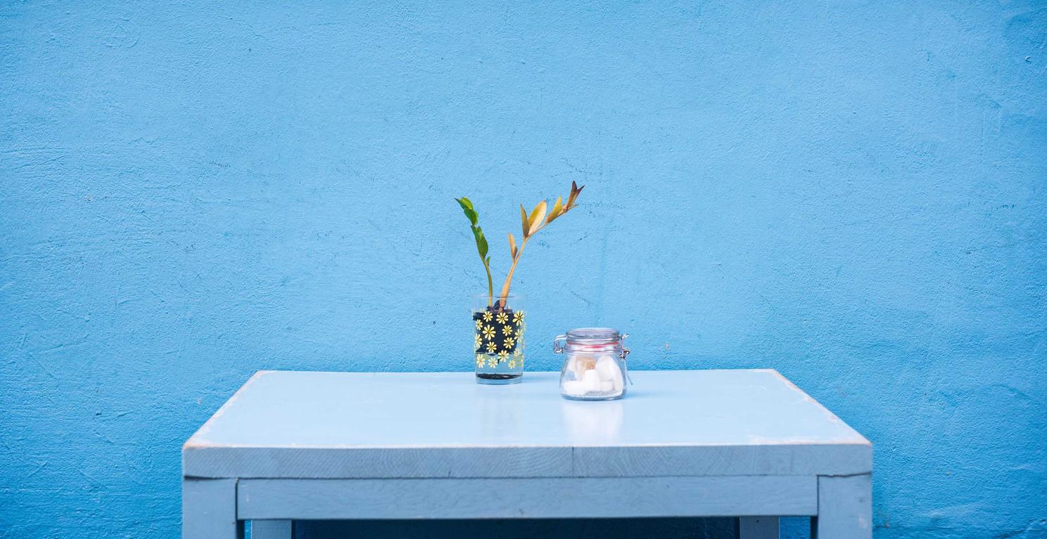 羚萌app详情下载教程