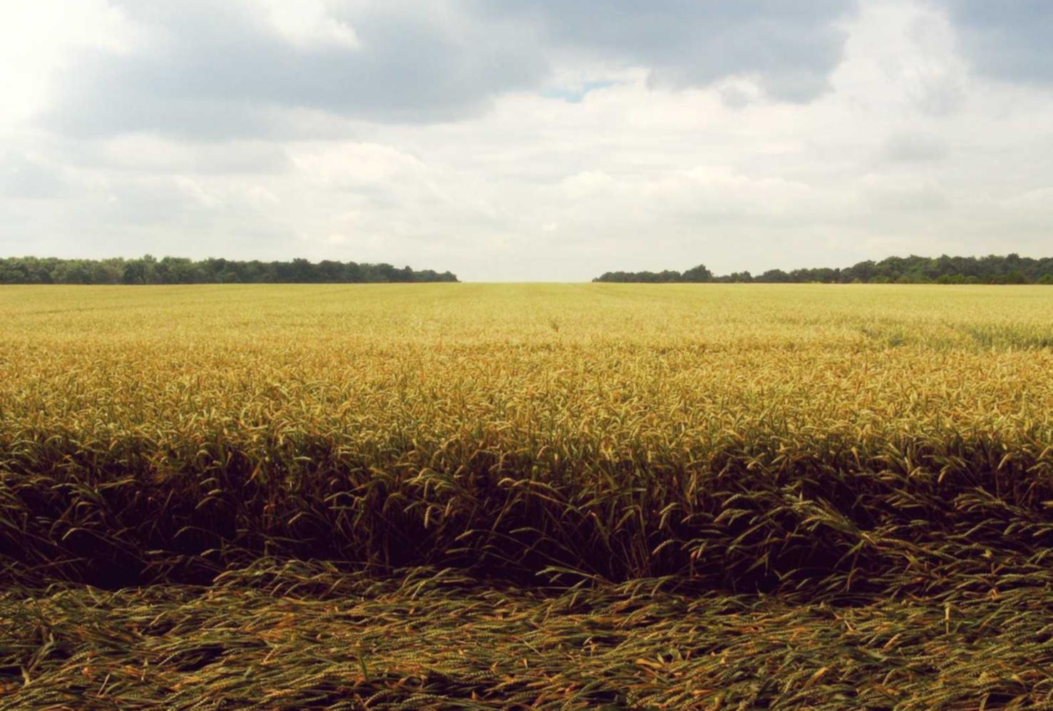 ucloud实名账号：海外渔具购买平台