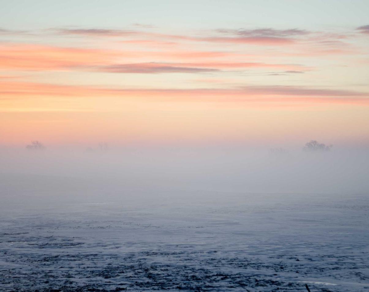 蜂巢互联实名账号：实名制解决了共享经济的问题吗？