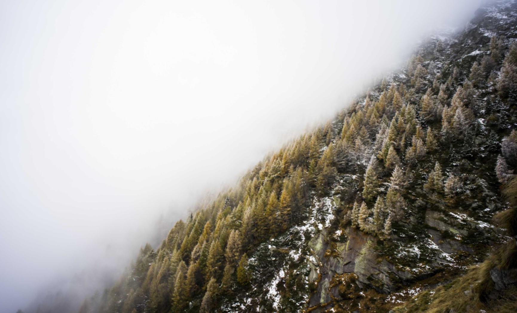 Peel百乐幻变爆珠(细):千亿app欢迎礼金详情下载教程