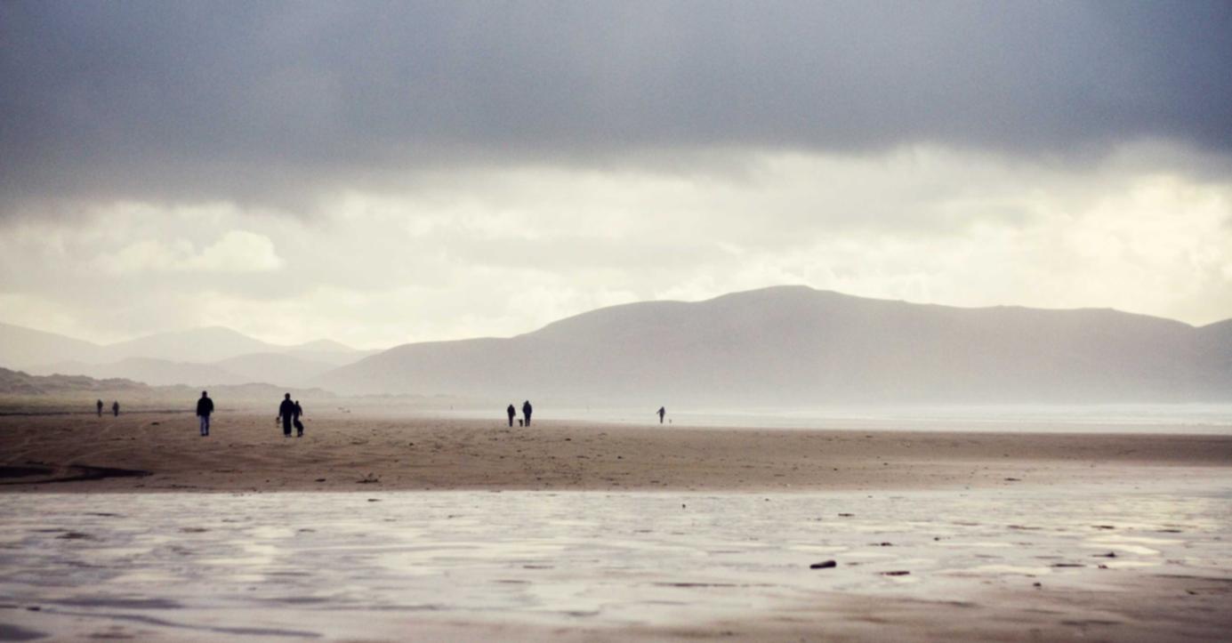 天运国网党建app详情下载教程