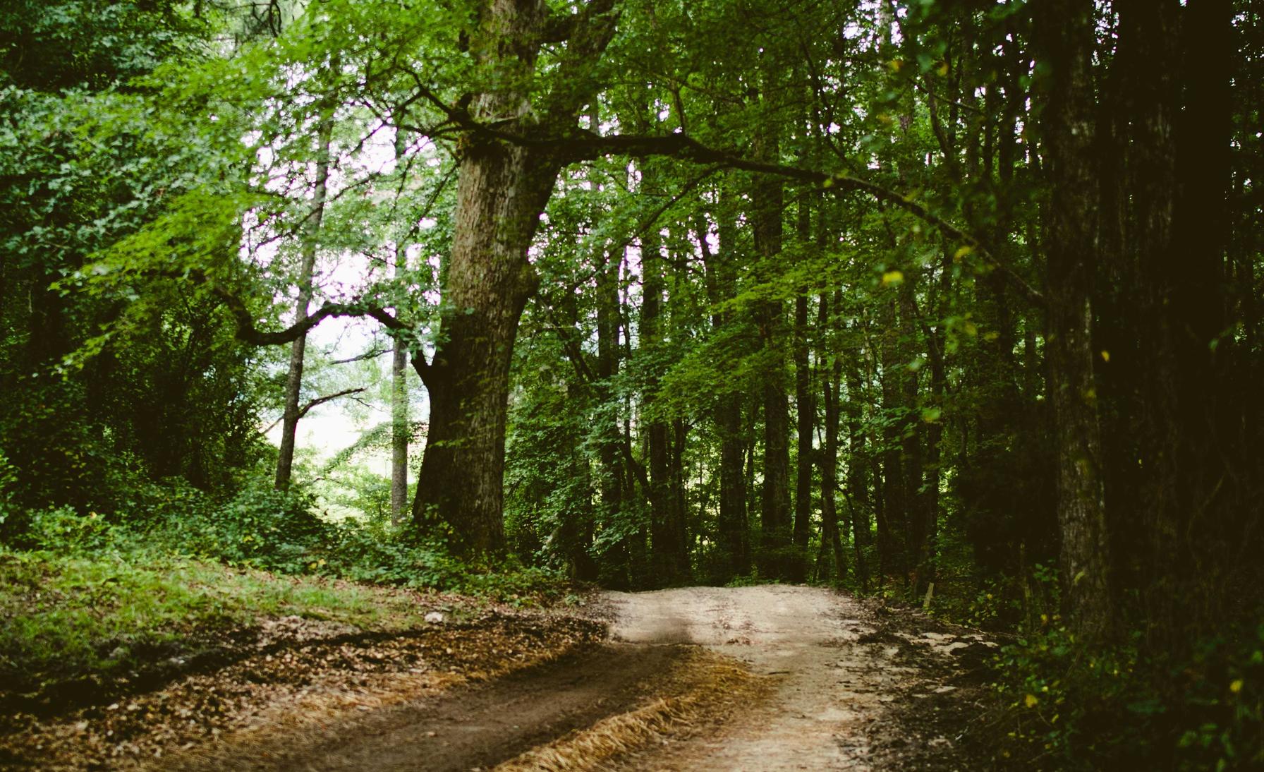 日税香草魔鬼：决战手游代理平台