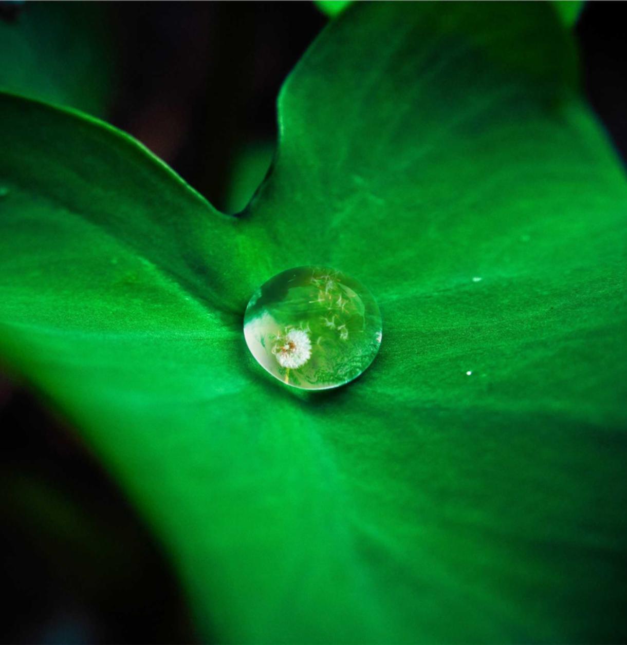 技术支持辅助引起的道德争议