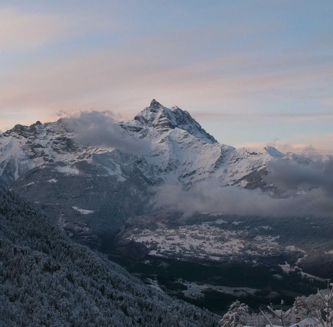 Peel百乐陈皮爆珠（细）：详情下载教程anbc app