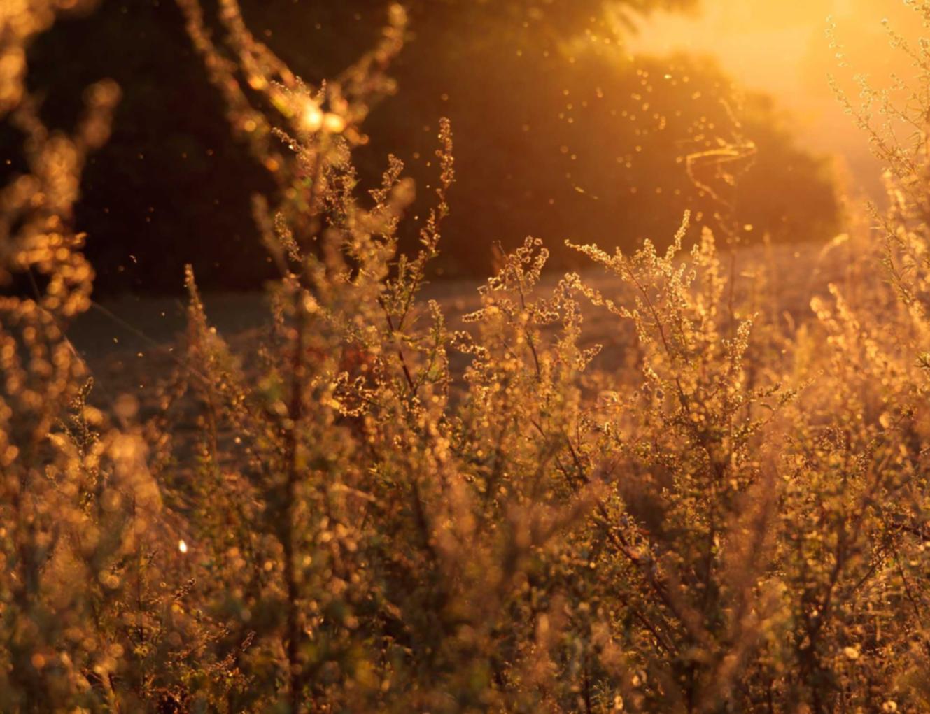 民生通讯实名账号：实名制下的网民知识产权保护意识