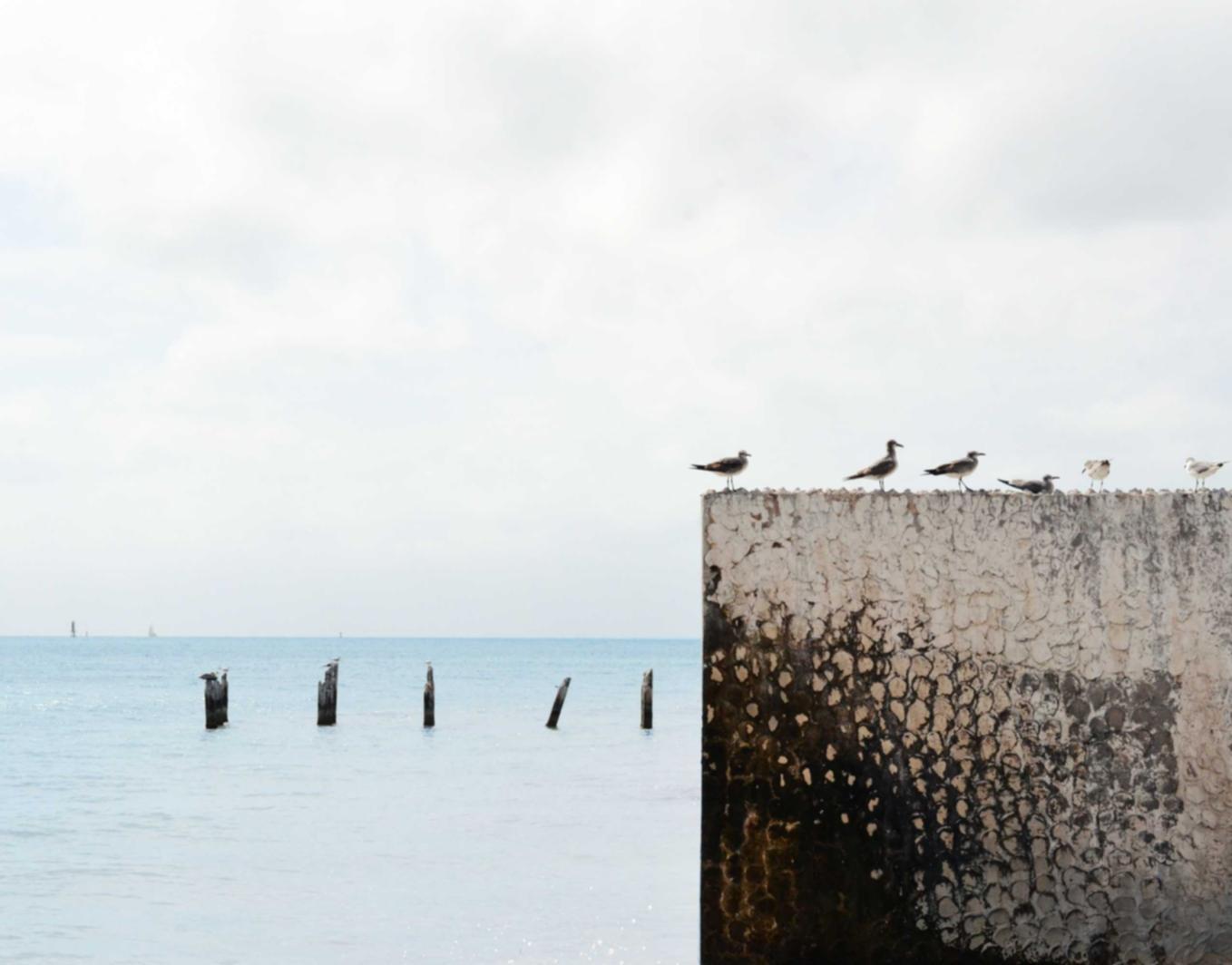 微信出售官网：中山快手平台开户地址查询