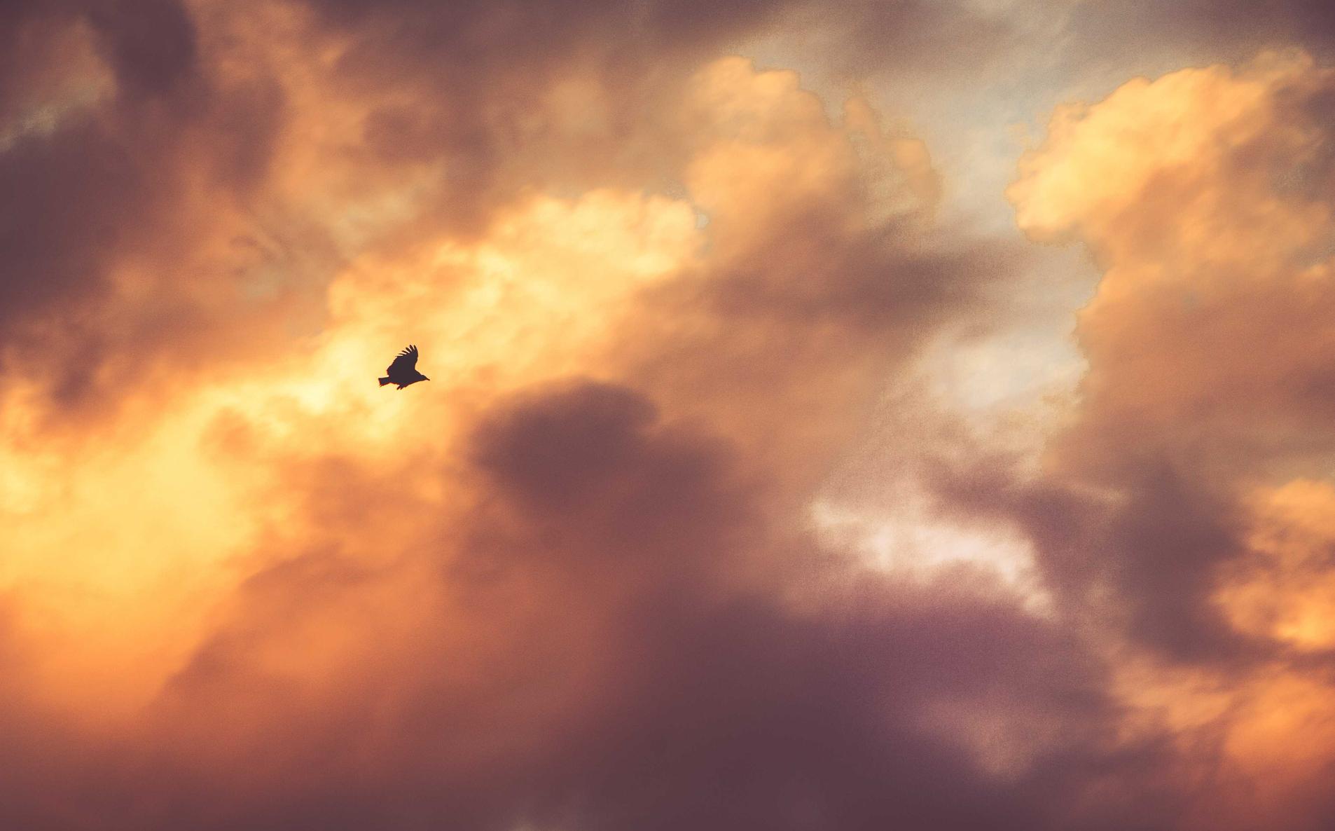 积目实名账号：新洲代理记账注册